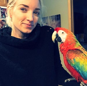 Your FIRST Day With Your New Parrot