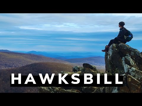 Hawksbill Summit Trail | Highest Point In Shenandoah National Park