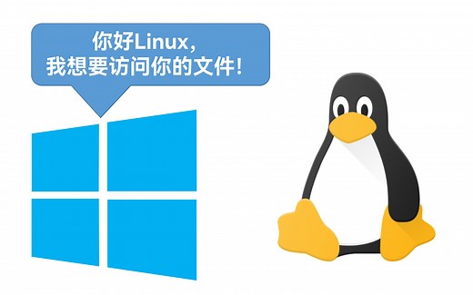 当你试图使用 Windows 去访问 Linux 的文件会怎么样？