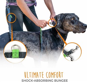 Hands-Free Bungee Leash Set