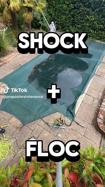 Essential Pro Pool Maintenance Guide for Summer