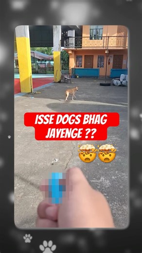 Dogs Isse Itna Kyun Darte Hain? 🤯#shortsindia #crazytech #dogrepeller #ultrasonicsound
