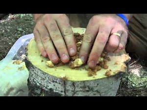 Totem Inoculation Process