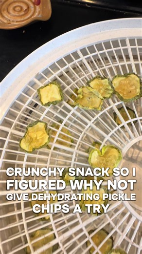 Pickle chips… chips? As someone medically perscribed salt I wanted to give dehydrating pickle chips a try and I was not disappointed. If you are going to make your own, definitely drain the brine and add water at least 12 hours before to reduce the saltiness to a more palatable level. Dehydrate until very crispy and crunch away. #Recipe #pickles #dysautonomia #dehydrated #salt