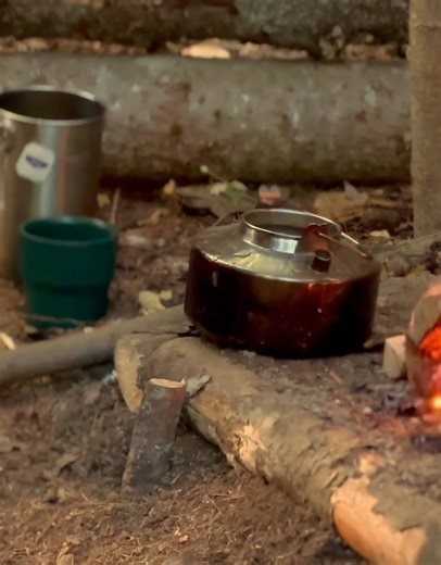 Campfire cooking #outdoorcamping #outdoorcamping #bushcraft #tarpshelter #camping #campfire #camp | Baly Bushcraft & Survival