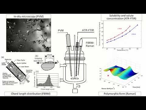 Process Analytical Technology (PAT) for Rapid Decision Making