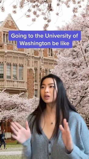 College Life at the University of Washington in Seattle