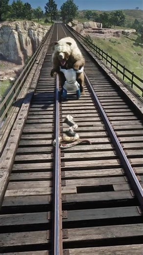 Survival Skills vid1694