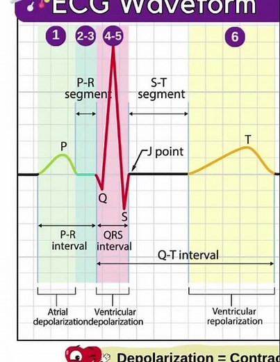 ECG Interpretation in 60 Seconds! ♥️ #LearnFast