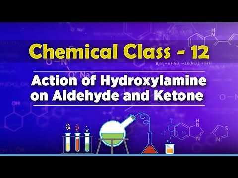 Action of Hydroxylamine on Aldehyde and Ketone - Aldehydes, Ketones and Carboxylic Acids
