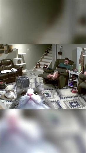 A simple greeting to the camera: Who is it for? #shorts