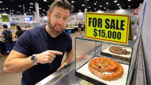 Private Tour Of the World's Most Expensive Pet Show