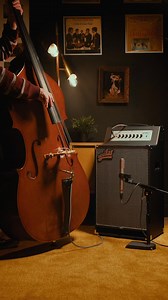 How does an upright bass sound through the Tone Hammer 210 Combo? Killer! Designed with applications like orchestra pits, jazz clubs, and studio sessions in mind, this combo is a fantastic choice for the upright player or doubler looking for a deep, clear, and punchy tone. For best listening experience use headphones! 🎧️ Signal Chain: Upright Bass direct into TH 210 combo with Fishman Full Circle Pickup. Recorded with a Royer R-122. #aguilaramp | Aguilar Amplification