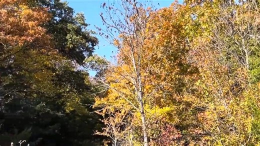 13K views · 182 reactions | Colors Exploding! Rattle Catching!...