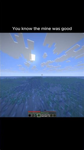 you know the mine was great #minecraft #shorts
