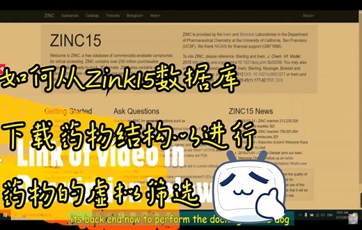 B10.AutoDock |如何从Zink15数据库下载药物结构