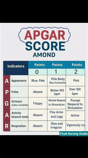 APGAR Score: A Newborn's First Checkup 😊