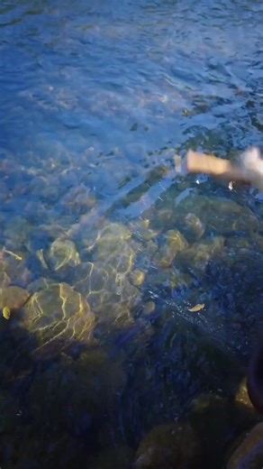 29K views · 269 reactions | The "Ancestor" of Modern Cartoons? (It's 2,000 Years Old!) ️曆 | Traditional Living | Facebook