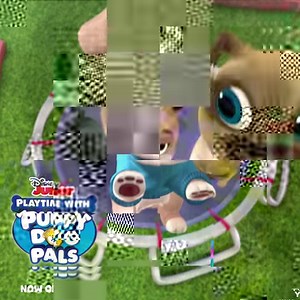 Look who just bounced in! Your favorite pugs and their new friend Keia! 🐶 Bring their adventures home with the Playtime with Puppy Dog Pals DVD! http://di.sn/6001EOTJh | Disney Jr.