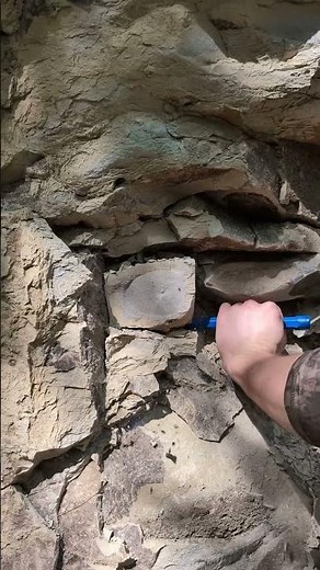 Digging up Fossils 👀 #fossil #rocks