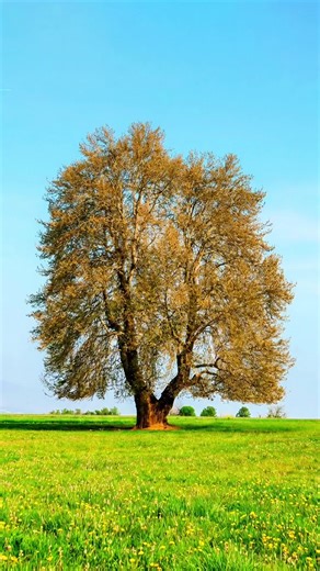 Best Digital Company on Instagram: "通道抠图，简单，最简单了 #PSD #AI #平面设计 #adobe #graphicdesigner #psd"