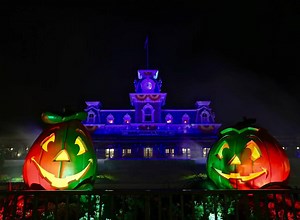 DIS Unlimited on Reels