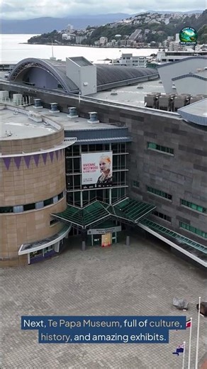 Top 5 Places to Visit in Wellington 🇳🇿 | NZ Travel Shorts #travel #wellington #bucketlist2025