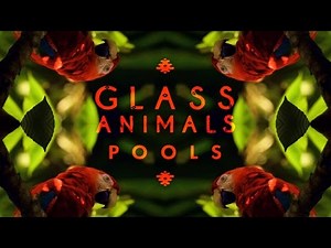 Glass Animals - "Pools" (Live Jungle Slang) | Audio