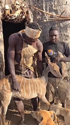why African tribes cook hunting meat instead of eating without cooking | Black African hunting ways
