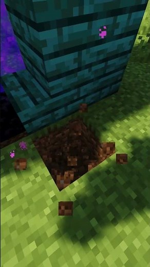 The SECRET to Building the Perfect Creeper Portal!