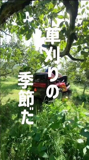 草刈りシーズンですね♪ #canycom #brushcutter