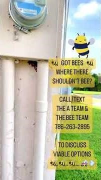 North Kendale Lakes Bee Removal: bees in wall, electric meter, meter box...