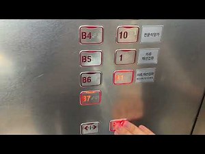 서울특별시 구로구 새말로 97 (구로동) 신도림테크노마트 나머지구간 4 OTIS엘리베이터 경고스티커 교체후 탑사기 (2)