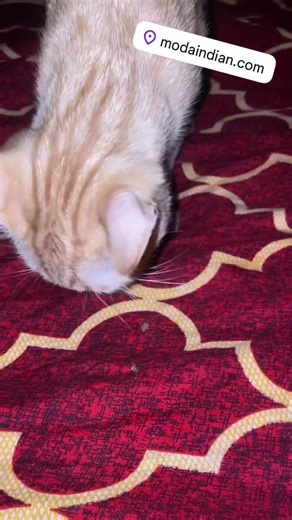 26 de febrero de 2026