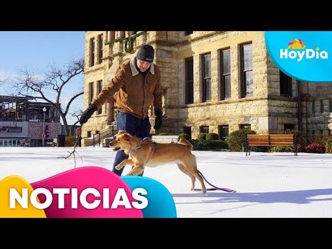 Gran parte de Texas permanece bajo alerta de frío extremo tras la tormenta invernal Fern | Hoy Día