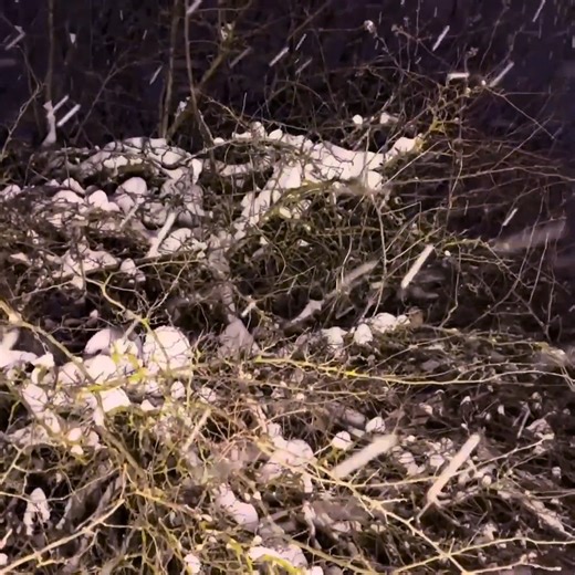 39K views · 586 reactions | Hiding in a log house in a blizzard - Surviving | Bushcraft Talent | Facebook