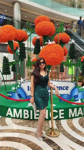 Neelam Hamdard Vlog58 Green