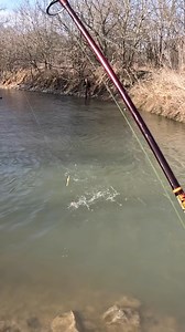 DONT be this guy! Catching crappie and then THIS happens! #reelsvideoシ #followmeシ゚ #kidkrappie #reelschallenge #February2026 #tips #crappie | KidKrappie