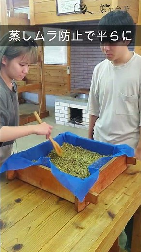 【伊豆大島】椿油作り体験