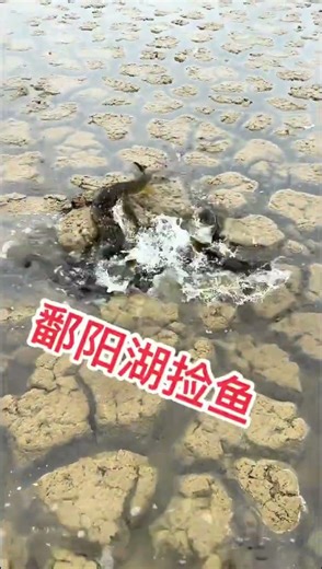 Ultimate Fish Catching Guide: Master the Art of Catching Fish