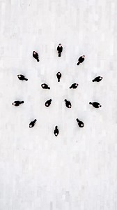 Beautiful Choreography & Body Geometry 🖤 by Black Widow🎵 cinematic orchestra - To Build a Home | Fubiz