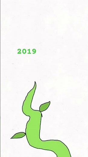 Growing Seed Animation: 2019 Vs. 2024