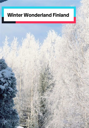 Musim dingin di Finlandia pemandangan rumah ku bakal seperti ini lagi Cinta🥰 Biasanya sepanjang bulan Januari&februari lah kalau harus beku semua kaya gini. Jangan di tanya sedingin apa rasanya🥶 Video di ambil bulan feb 2026.