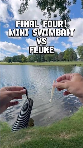 Swimbait vs Fluke! LURE TOURNAMENT FINAL FOUR! #fishing