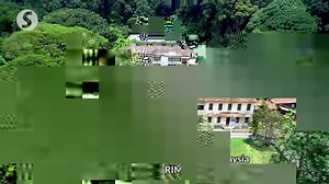 The Forest Research Institute Malaysia (FRIM) is more than a green space in the Klang Valley; it's a conservation leader, transforming a former mining wasteland into a thriving rainforest ecosystem. In its bid for Unesco World Heritage Site status, FRIM emphasizes its man-made nature and focus on ecological transformation, setting it apart from other heritage sites. WATCH MORE: https://thestartv.com/c/news SUBSCRIBE: https://cutt.ly/TheStar LIKE: https://fb.com/TheStarOnline | The Star