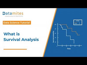How to Use Survival Analysis for Predictive Modeling in Python | DataMites Institute