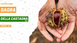 14K views · 123 reactions | ✅Video-recensione completa della”Sagra...