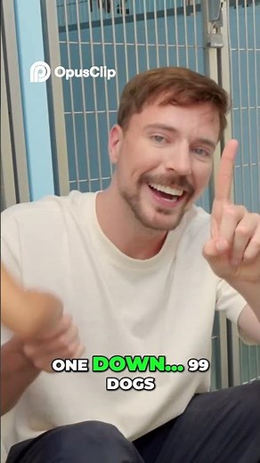 Saving 100 Dogs Heartbreaking Shelter Reality