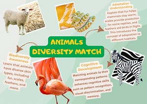 Match the Pattern - Sensory Learning Game for Kids - Etsy