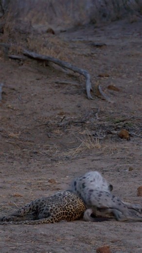 2.4M views · 24K reactions | Nature’s raw power on display. | Too Wild | Facebook